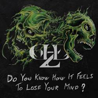 Demolized - Do You Know How It Feels To Lose Your Mind?