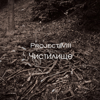 Project VIII - 