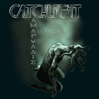 Catchlight - Amaryllis