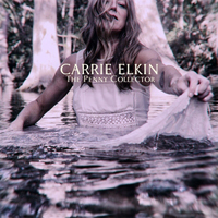 Elkin, Carrie - The Penny Collector