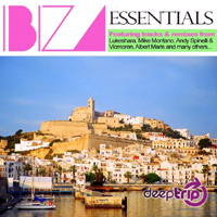 Various Artists [Soft] - Deep Trip Ibiza Essentials Vol. 1