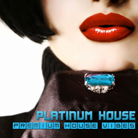 Various Artists [Soft] - Platinum House - Premium House Vibes