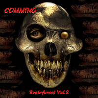 Various Artists [Soft] - Comming (Brainforest Vol.2)
