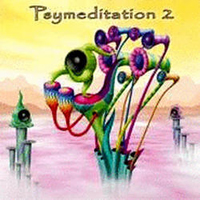 Various Artists [Soft] - Psymeditation 2