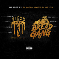 Various Artists [Soft] - Nless Ent x Bread Gang