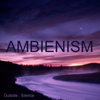 Various Artists [Soft] - Ambienism