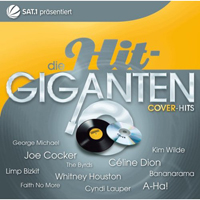 Various Artists [Soft] - Die Hit Giganten: Cover Hits (CD 2)