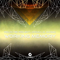 Psilocybe Project - Working Memory [Single]