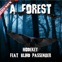 Blind Passenger - A Forest (Single)