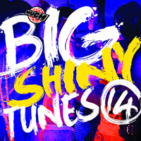 Various Artists [Hard] - Big Shiny Tunes 14