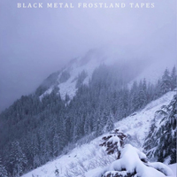 Various Artists [Hard] - Black Metal: Frostland Tapes I (CD 3)