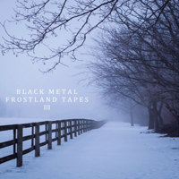 Various Artists [Hard] - Black Metal: Frostland Tapes III (CD 2)