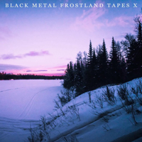 Various Artists [Hard] - Black Metal: Frostland Tapes X (CD 2)