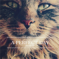A Perfect Day (CAN) - I Love My Cats