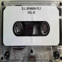 DJ Spanish Fly - Vol. 42