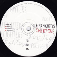 Foo Fighters - One By One (LP 2)