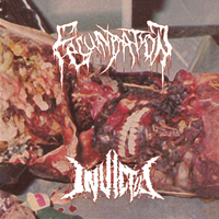 Fecundation - Fecundation / Invictus