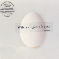 Wilco - A Ghost Is Born