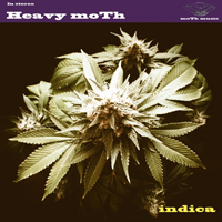 Heavy Moth - Indica
