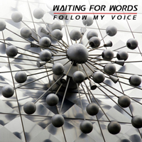 Waiting For Words - Follow My Voice