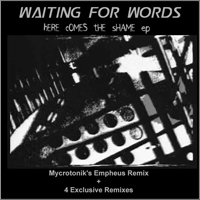 Waiting For Words - Here Comes The Shame