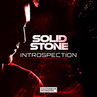 Solid Stone - Introspection (CD 2)