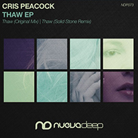 Solid Stone - Cris Peacock - Thaw (Solid Stone Remix) (Single)