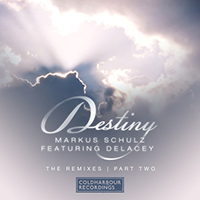 Solid Stone - Markus Schulz feat. Delacey - Destiny (Solid Stone Remix) (Single)