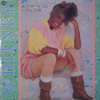 Whitney Houston - How Will I Know (Single)