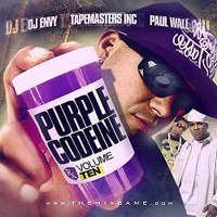 DJ Envy - Dj Envy & Tapemasters Inc. - Purple Codeine 10