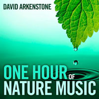 David Arkenstone - Spa: One Hour of Nature Music