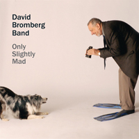 Bromberg, David  - Only Slightly Mad
