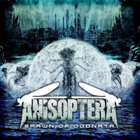 Anisoptera - Spawn Of Odonata