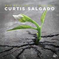 Salgado, Curtis - The Beautiful Lowdown