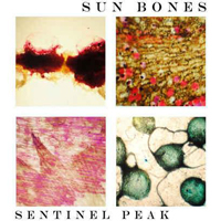 Sun Bones - Sentinel Peak