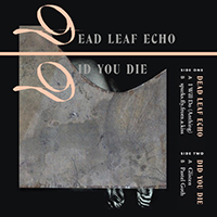 Did You Die - Dead Leaf Echo / Did You Die (Split)