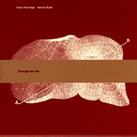 Harold Budd - Through The Hill (with Andy Partridge)