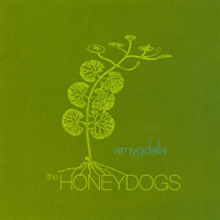 Honeydogs - Amygdala