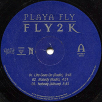 Playa Fly - Fly2K (Sampler's EP)