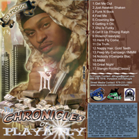 Playa Fly - The Chronicles Of Playa Fly