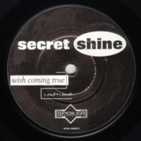 Secret Shine - Wasted Away (7'' Single)