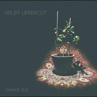 Spliff Uppercut - Orange Bud