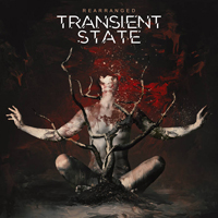 Transient State - Rearranged