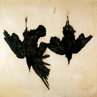 Birdmask - Inertia (Single)