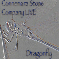 Connemara Stone Company - Dragonfly