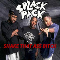 Splack Pack - Shake That Ass Bitch (12'' Single)