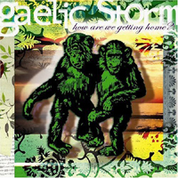 Gaelic Storm - How Are We Getting Home?