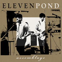 Eleven Pond - Assemblage