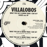 Villalobos, Ricardo - What You Say Is More Than I Can Say