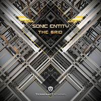 Sonic Entity - The Grid [Single]